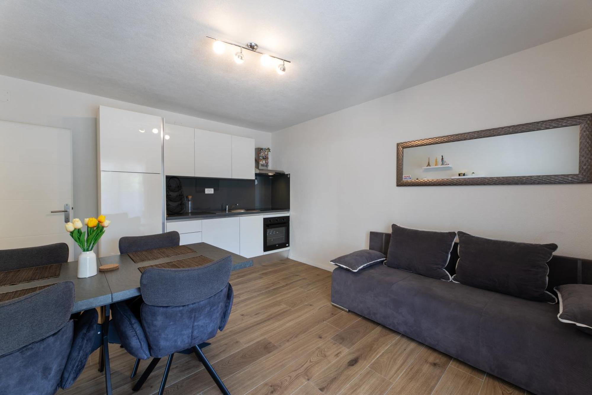Apartment Bilopavlovic *
