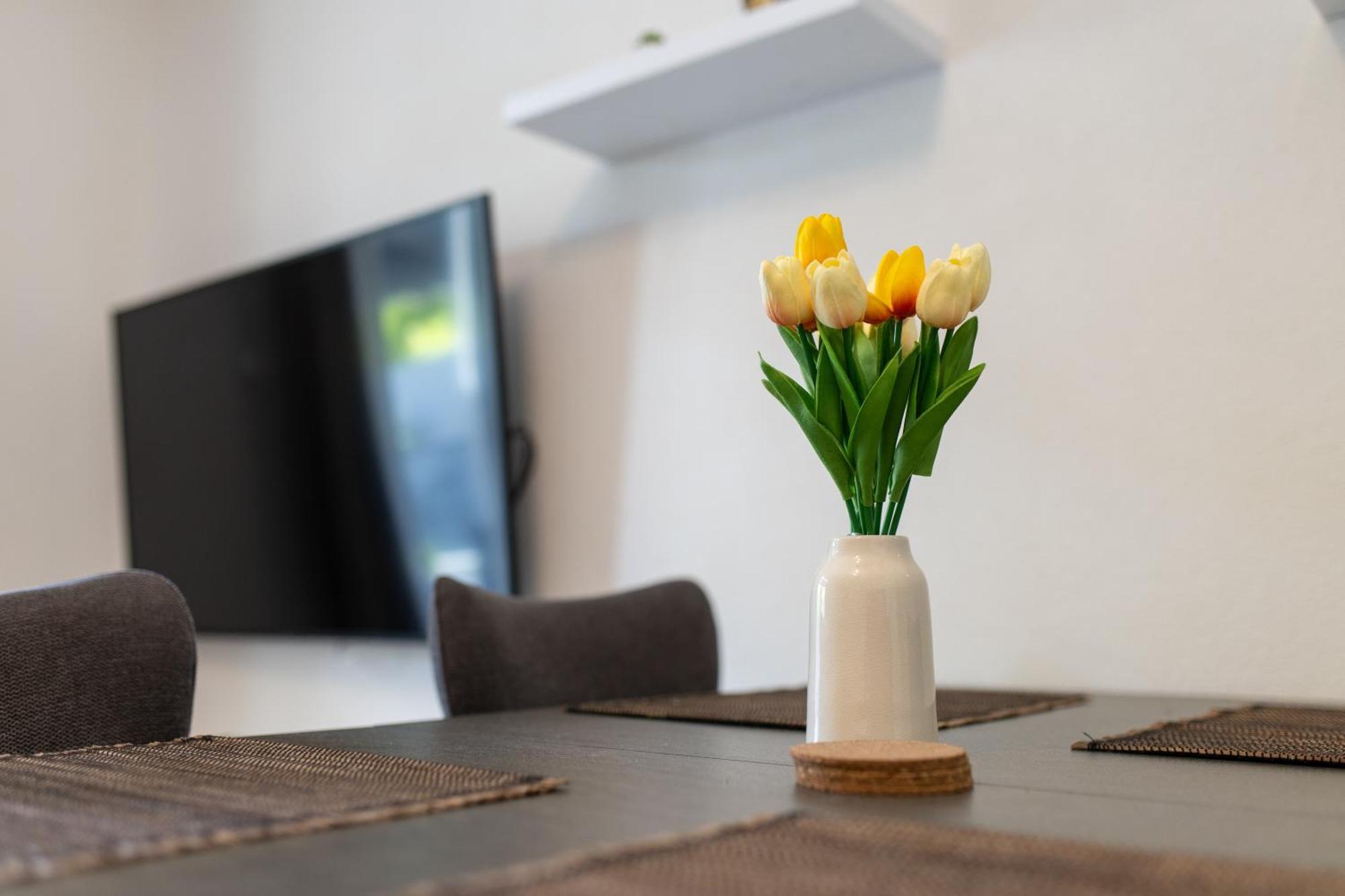 Apartment Bilopavlovic Kastela